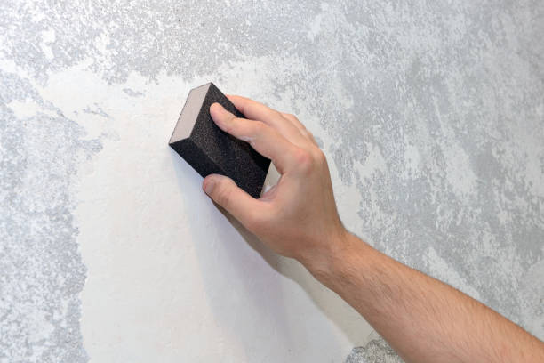 Professional Mold Removal in Eaton, OH