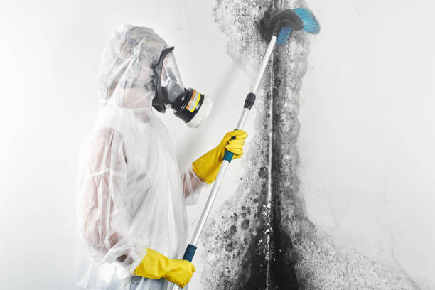 Best Forensic Mold Investigation  in Eaton, OH