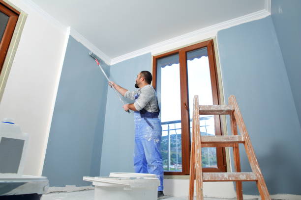Best Environmental Consulting for Mold Prevention  in Eaton, OH