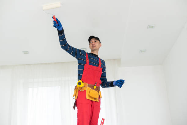 Best Mold Documentation for Insurance Claims  in Eaton, OH