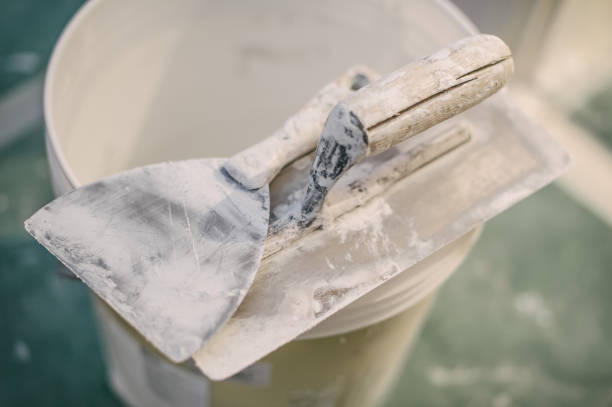 Best Industrial Mold Remediation  in Eaton, OH